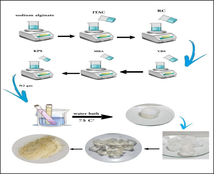 Preparation of (SA-g-P(ITA-co-VBS)/ RC) Hydrogel.