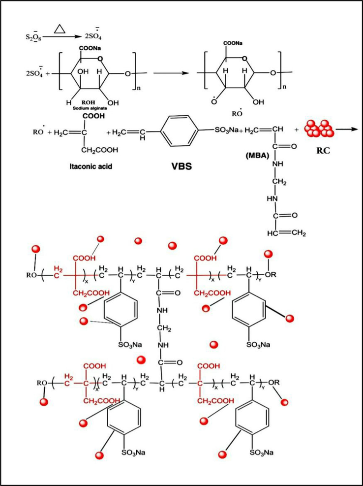 Mechanism of SA-g-P(ITA-co-VBS)/RC Hydrogel.