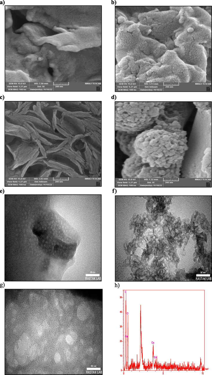 FESEM images of (a) RC, (b) (SA-g-P(ITA-co-VBS), (c) (SA-g-P(ITA-co-VBS)/ RC), (d) MG loaded (SA-g-P(ITA-co-VBS)/ RC), (e) TEM images of RC, (f) (SA-g-P(ITA-co-VBS), (g) (SA-g-P(ITA-co-VBS)/ RC) and (h) EDS of (SA-g-P(ITA-co-VBS)/ RC).