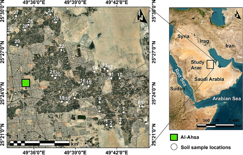 Location map of the sampling sites at Al-Ahsa Oasis.