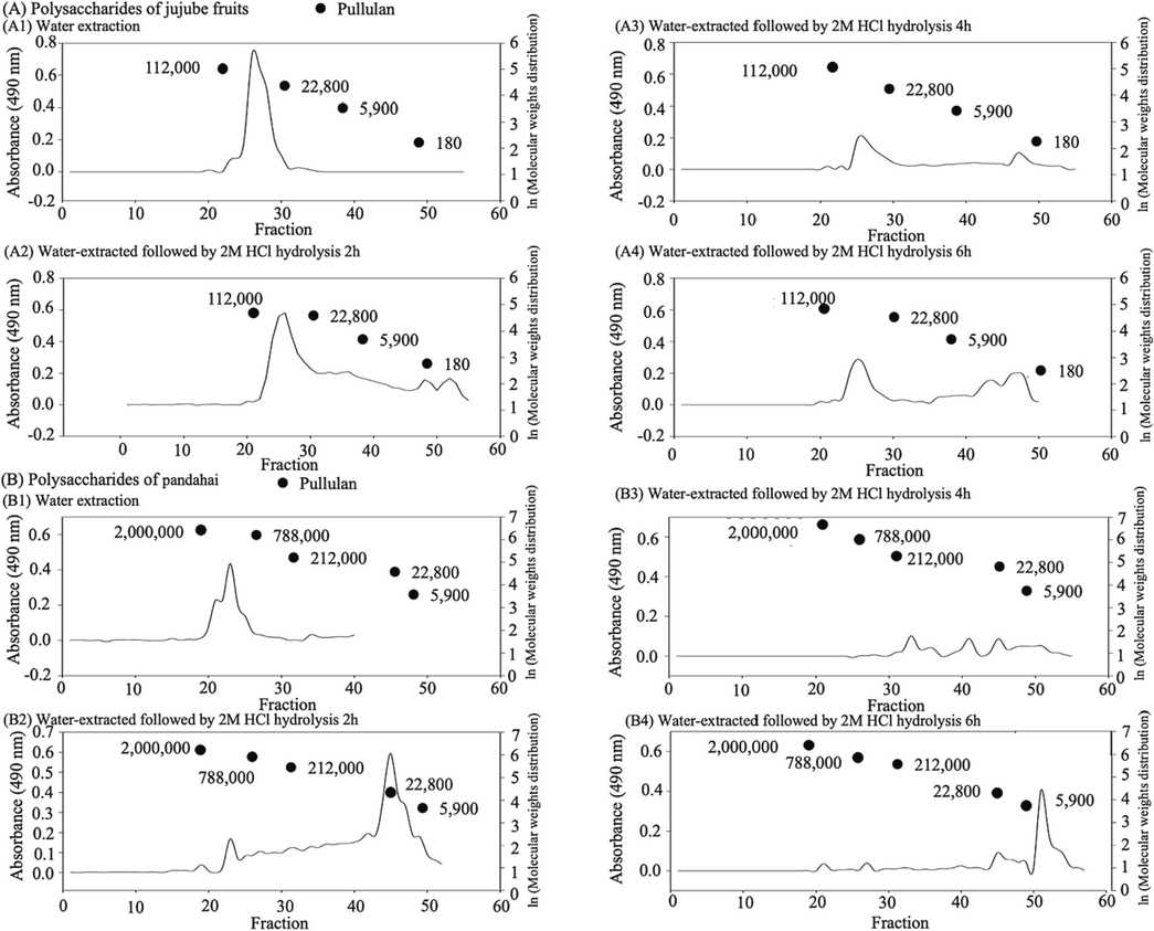 Molecular weight distribution of jujube (Zizyphus jujuba Mill.) and pandahai (Sterculia lychnophora Hance) water-extracted crude polysaccharides after acid hydrolysis.