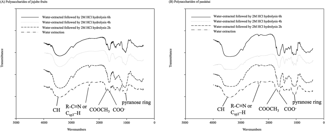 Fourier-transform infrared spectra of jujube fruit (Zizyphus jujuba Mill.) and pandahai (Sterculia lychnophora Hance) water-extracted crude polysaccharides and acid-hydrolyzed polysaccharides.