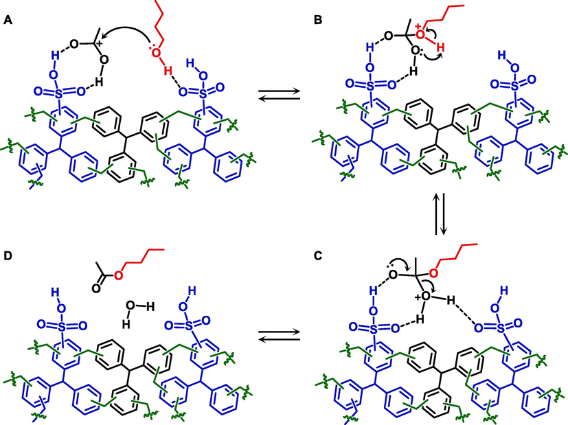 Possible mechanism for the esterification of acetic acid with n-butanol on the surface of the sHCP1 catalyst established on the basis of experimental data.