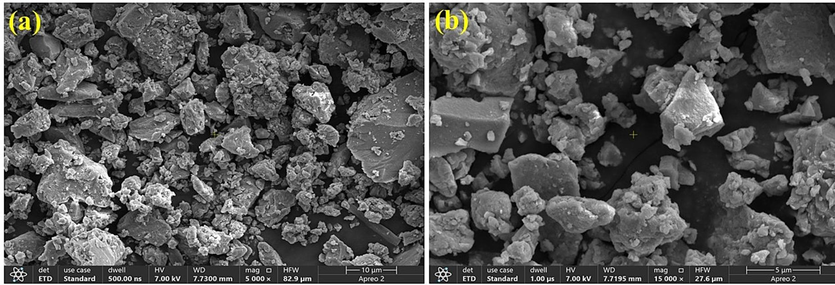 SEM images of Ni-Al-LDH nanostructures (a) with low resolution and (b) with high resolution.