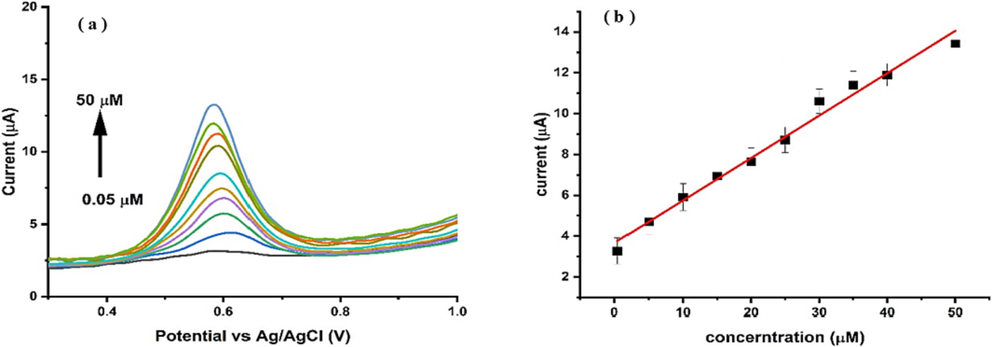 (a) The DPV response of PCP at different concentration (0.05–50 µM) using Ni-Al-LDH@GCE at scan rate 50 mV/s in BRB of pH 6 (b) The plot of linear calibration curve for DPV response of PCP v/s concentration.