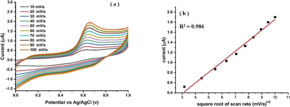 (a) Effect of scan rate on Ipa response Ni-Al-LDH@GCE in 1 µM PCP using BRB pH 6, (b) Plot of square root of scan rate v/s Ipa.