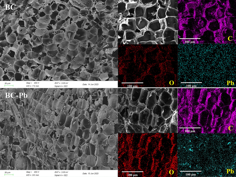 The SEM-EDS images of biochars before and after adsorption.