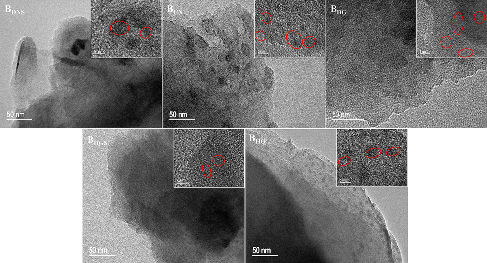 TEM and HRTEM images of the TCMR biochars.