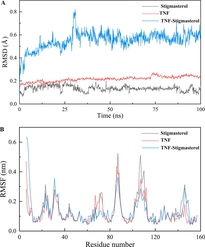 RMSD and RMSF of MD simulation. (A)The RMSD of TNF-Stigmasterol. (B) The RMSF of TNF-Stigmasterol.