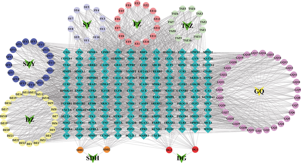 Herb–compound–target network. Green arrows represent the herbs in YGPs, circles node are compounds, green squares nodes represent the common targets. The edges represent the interaction between compounds and targets.