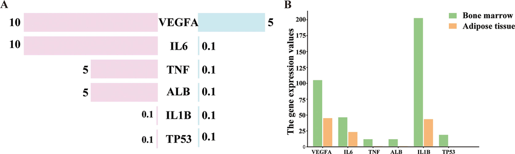 The expression analysis of key targets in human tissues. The analysis and summary of protein expression (A) and gene expression (B) of key targets in human tissues from HPA database. (A) Bubble chart of the top 10 biological process (BP) terms, cellular component (CC) terms, and molecular function (MF) terms of GO enrichment analysis. (B) Column chart of the top 10 biological process (BP) terms, cellular component (CC) terms, and molecular function (MF) terms of GO enrichment analysis are shown as green, orange, and purple bars, respectively.