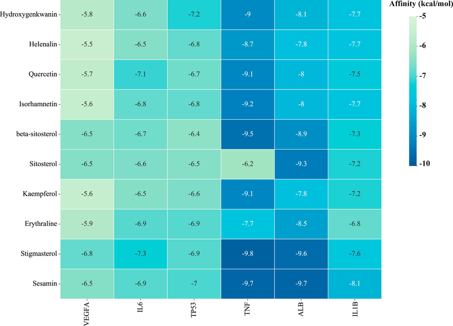 Heatmap of molecular docking score. Affinity energy(kcal/mol) of key targets and active compounds of herbs. TNF- Stigmasterol(A1), ALB- Sesamin (B1), IL1B- Sesamin (C1), TP53- Hydroxygenkwanin (D1), IL6- Stigmasterol (E1), VEGFA- Stigmasterol (F1). (A2), (B2), (C2), (D2), (E2) and (F2): Two dimensional patterns of bond, respectively.