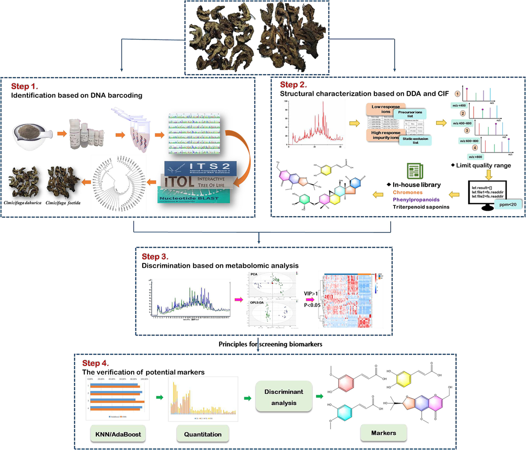 The schematic diagram of the strategy of discriminational investigation in CR.