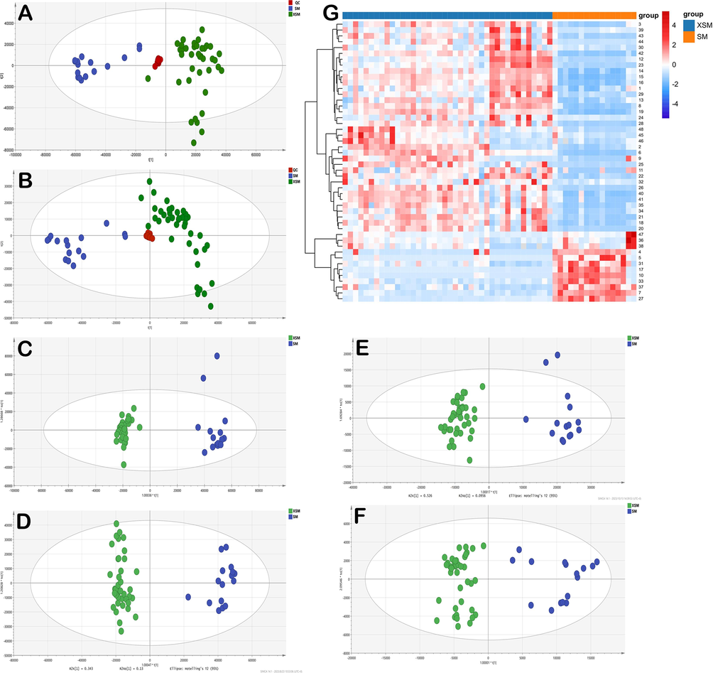 Multivariate statistical analyses of the two species: PCA score plot in positive mode (A); PCA score plot in negative mode (B); OPLS-DA score plot (C: 2955 ionic characteristic variables in positive mode, D: 2976 ionic characteristic variables in negative mode, E: 48 compounds characteristic variables, F: 4 combinatorial discriminatory quality markers); heat-map in two species(G).