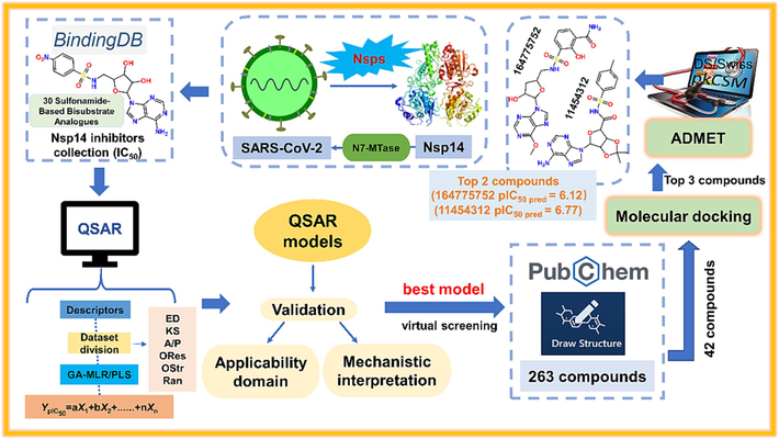 Schematic illustration of the workflow of the present study.