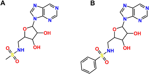 (A) Template 1 for large true external set (263 compounds); (B) Template 2 for small true external set (42 compounds).