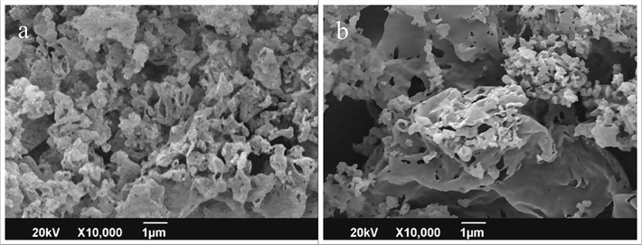 SEM images of (a) pure GCN, and (b) 0.1-AGCN samples.