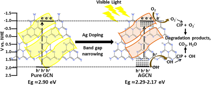 Proposed mechanism for the photocatalytic degradation of CIP polluted wastewater.