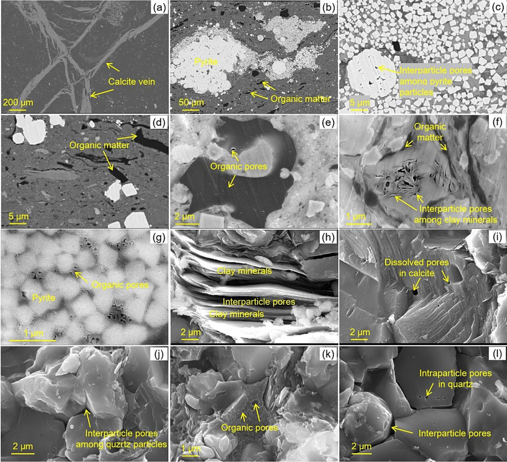 SEM images of pores in the organic-rich shales. (a)-(f) show the Longtan organic-rich shale. (g)-(i) show the Niutitang organic-rich shale (g is from Ning et al., 2023). (j)-(l) show the Wufeng-Longmaxi organic-rich shale.