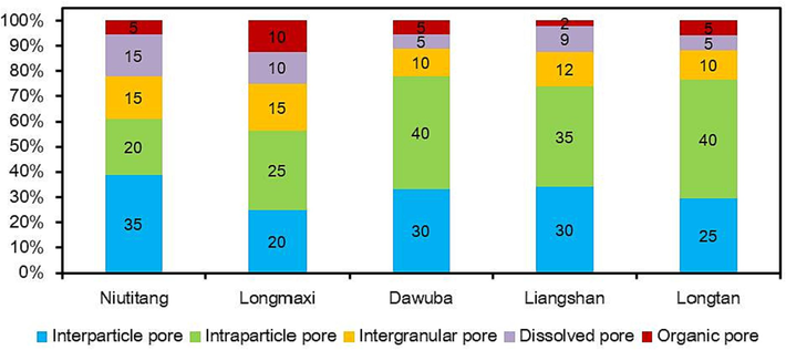 Pore types of the different organic-rich shales in Guizhou Province (data from Zhu et al., 2019; Xia et al., 2021b).