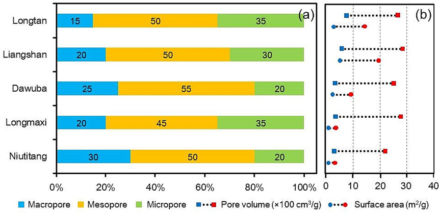 Pore structure characteristics of organic-rich shales (data from Zhu et al., 2019; Xia et al., 2021b). a) Proportion of pores with different sizes and b) Pore volume and specific surface area.