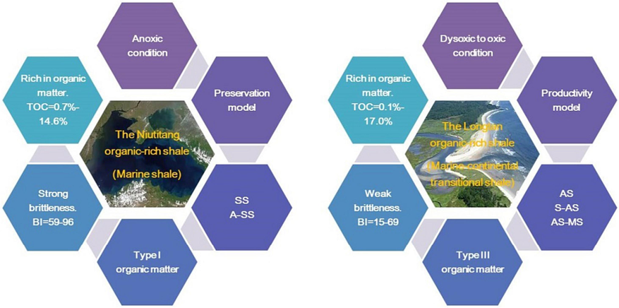 Comparisons of the sedimentary environment, the lithofacies, and the reservoir properties between a typical marine shale and a typical marine-continental transitional shale. Here, SS is siliceous shale lithofacies; A-SS is argillaceous-rich siliceous shale lithofacies; AS is argillaceous shale lithofacies; S-AS is silica-rich argillaceous shale lithofacies, and AS-MS is argillaceous/siliceous mixed shale lithofacies.