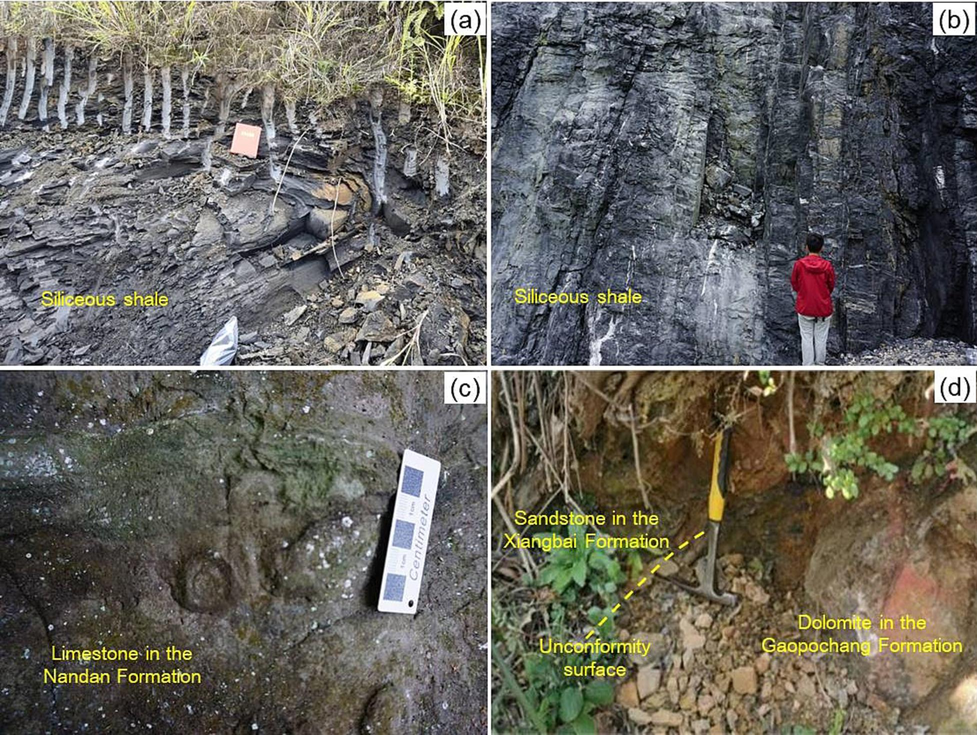 Field photos of the Lower Carboniferous Formation. a) The siliceous shale in the Dawuba Formation, Huishui, b) the siliceous shale in the Dawuba Formation, Luodian, c) the limestone in the Nandan Formation, Changshun, and d) the sandstone in the Xiangbai Formation, Wudang. The Dawuba, Nandan, and Xiangbai Formations are heterotopic deposits as shown in Fig. 2.