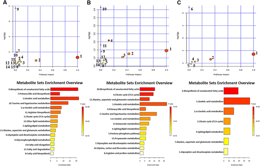 KEGG enrichment pathway maps of differential metabolites between the control and UC groups (A); KEGG enrichment pathway maps of differential metabolites between the control and CRC groups (B); KEGG enrichment pathway maps of differential metabolites related to UC and CRC (C).