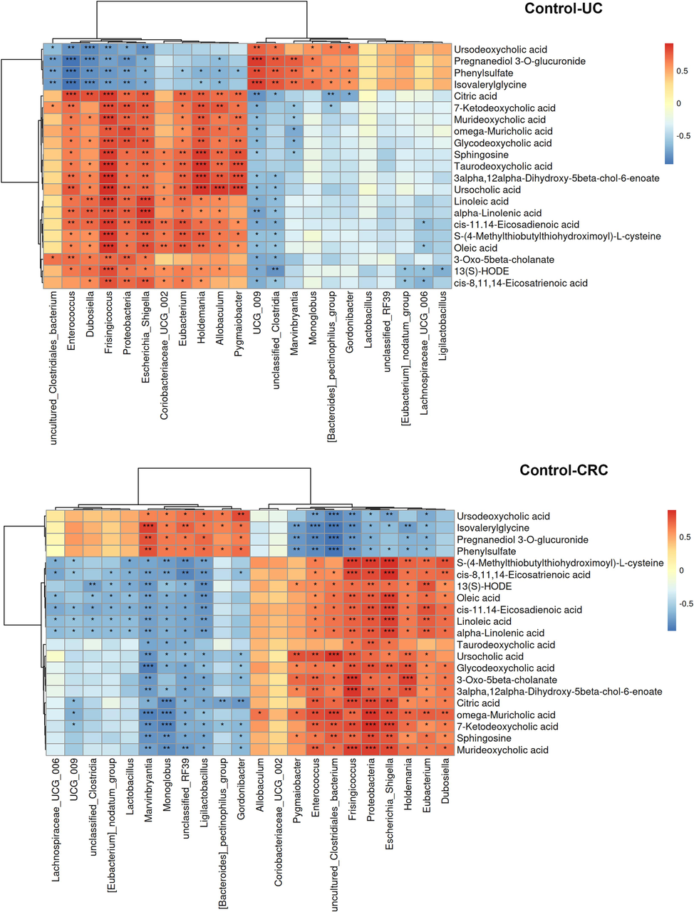 Correlation heat map of key differential microflora and differential metabolites. *p < 0.05, **p < 0.01, ***p < 0.001.