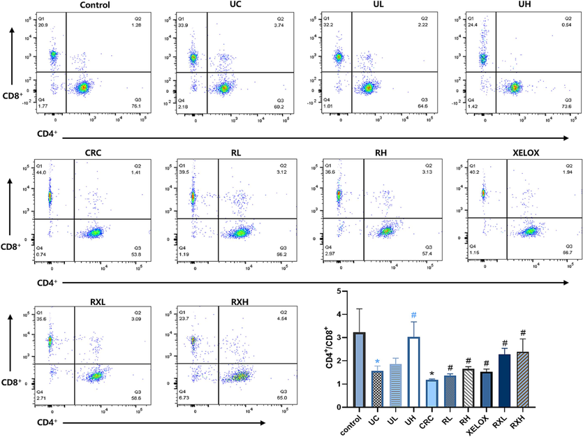 Flow cytometric analysis of CD4+ and CD8+ cells in each group of rats. *p < 0.05 UC vs control group; *p < 0.05 CRC vs Control group; #p < 0.05 vs UC group; #p < 0.05 vs CRC group.