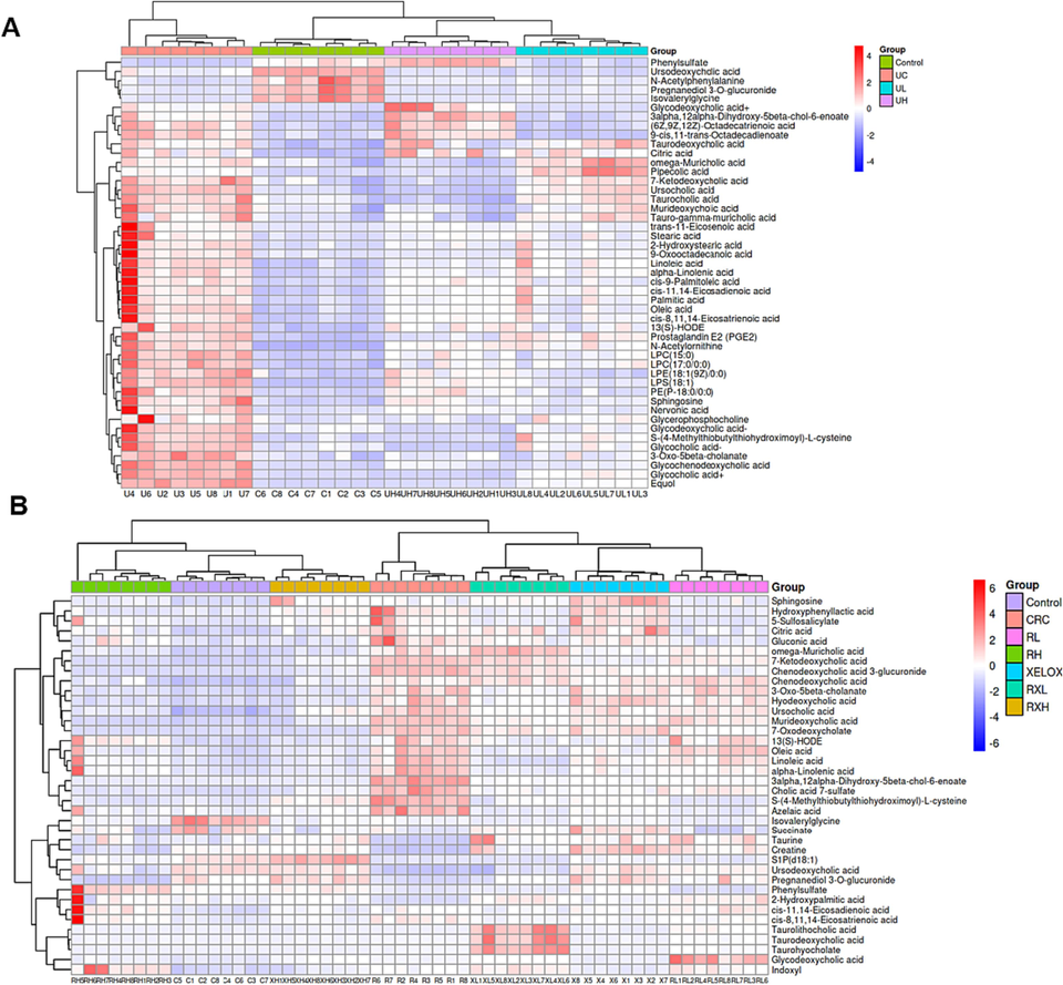 Heat maps of differential metabolites between the control and UC groups after treatment (A); Heat maps of differential metabolites between the control and CRC groups after treatment (B).