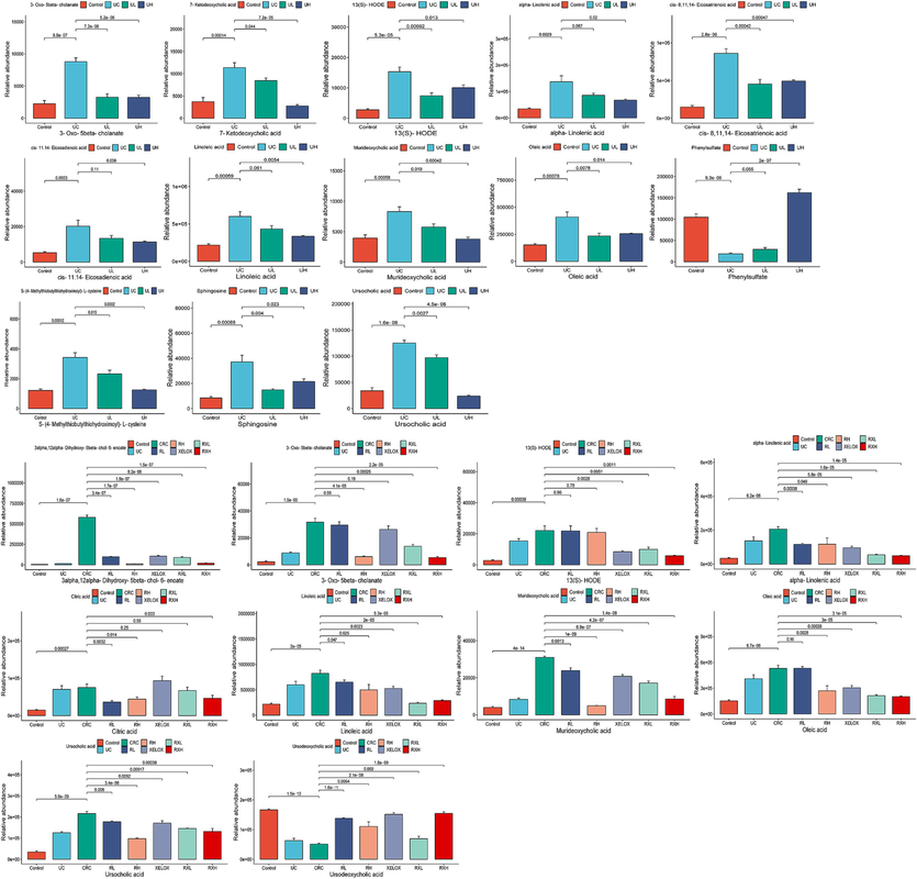 Column chart of different metabolite concentrations in the control, UC, UL and UH groups (A); Column chart of different metabolite concentrations in the control, UC, CRC, RL, RH, XELOX, RXL and RXH groups (B).