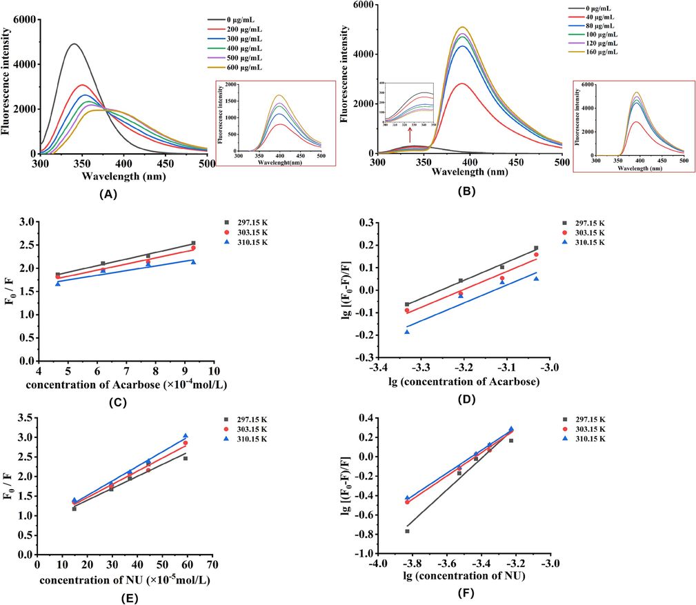 Fluorescence spectra of α-glucosidase in the presence of acarbose and NU at various concentrations (A: acarbose; B: NU). Stern-Volmer plots for fluorescence quenching of α-glucosidase with different temperature of 297.15 K, 303.15 K, and 310.15 K (C and D for acarbose, E and F for NU).