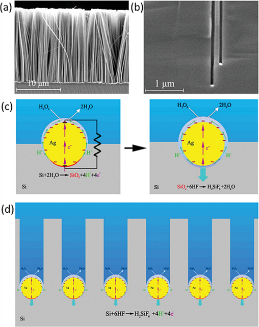 (a) Cross-sectional SEM image of aligned SiNW array prepared on p-type 7–14 Ωcm Si (1 0 0) wafer by silver-assisted etching in HF-H2O2 aqueous solution for 30 min. (b) Cross-sectional SEM view of an etched Si (1 0 0) wafer, showing straight nanoholes normal to the silicon surface and Ag particles at the bottom of the nanoholes. (c,d) Schematics of metal-assisted etching of silicon in HF-H2O2 aqueous solution. Reproduced with permission from (Peng et al., 2008a–c). Copyright 2008, Wiley-VCH.