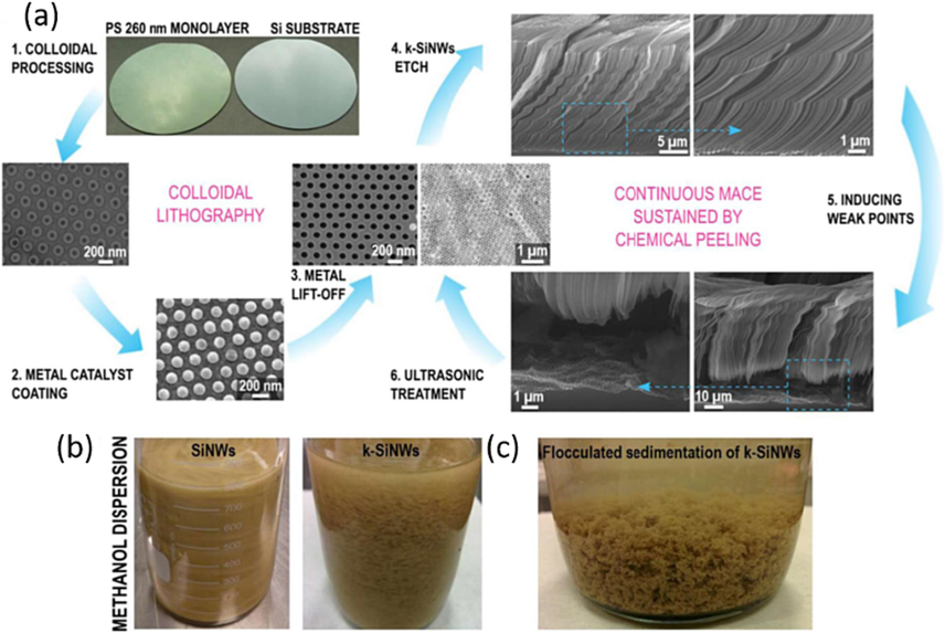 Kinked SiNWs synthesis and processing. Continuous synthesis of k-SiNWs sustained by chemical peeling (a). The first step is the nanopatterning of the metal catalyst mask, conveniently achieved by colloidal lithography with polystyrene spheres. Their diameter can be customized by reactive ion etching (1). The holey Au mask can be obtained after the coating of the patterned Si substrate with a thin film (2) and the subsequent removal of the polystyrene spheres (3). The main fabrication step involves etching in a solution containing HF and H2O2. The etching parameters are favorable for non–〈1 0 0〉 etching directions. Interrupting the etching at certain points induces changes in the etching direction and triggers the formation of kinks between adjacent segments (4). When the desired length is achieved, the etching conditions are again modified to favor the presence of a porous segment at the base of the k-SiNW’s (5). This porous segment facilitates the separation of k-SiNWs from their Si substrate with a short ultrasonic treatment, leaving the metallic mask intact and ready for a new etching sequence (6). Dispersion of SiNWs vs. k-SiNWs in methanol (b). Optical image of the flocculated sedimentation of k-SiNWs (c).(Sandu et al., 2018) Copyright 2018, Nature publishing group.