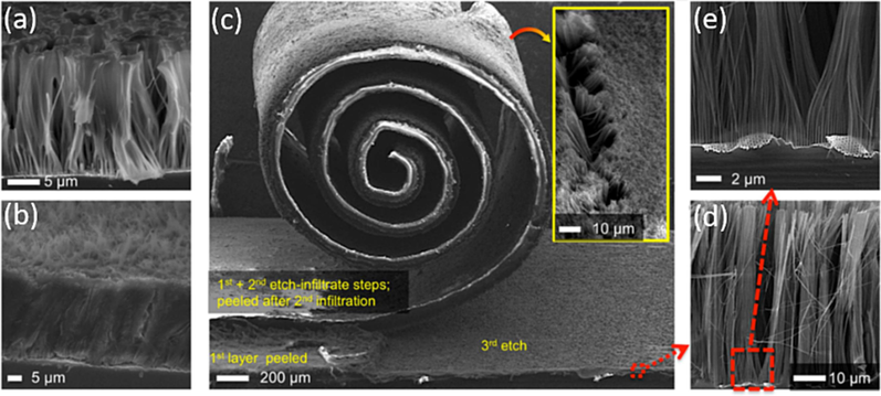 Polymer infiltration and multi-peeling protocol. (a) Partial infiltration showing the conformal coating of single and bunches of nanowires. (b) Fully infiltrated Si nanowires. (c) Exemplification of the multi-loop etch-infiltrate-peel protocol. Three consecutive etch-infiltrate-peeling processing loops have been performed on the same Si chip and using the same MACE mask. (Inset) Back-side of the peeled membranes, showing the exposed nanowires for current collector contact. (d,e) Even after several etch-infiltrate-peel steps, the MACE mask maintains its integrity and continues to provide high-quality Si nanowires arrays, (Vlad et al., 2012) Copyright 2012, proceedings of the national academy of sciences of the United states of America.