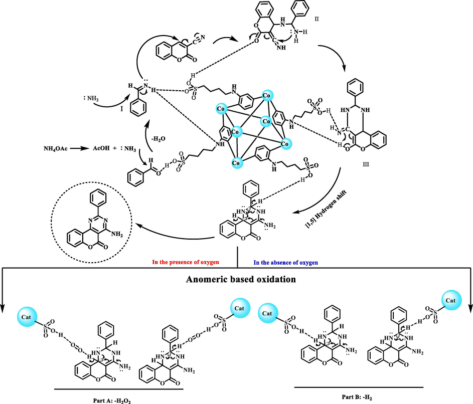 Proposed mechanism for synthesis chromeno[4,3-d]pyrimidine using Co(BDC-NH(CH2)4SO3H) as a catalyst.