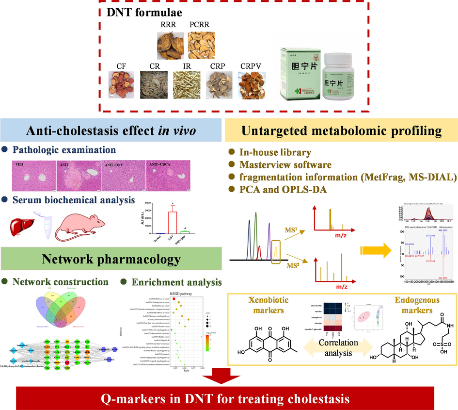 The workflow of the integrated strategy to discover Q-markers of DNT formulae in treating cholestasis.