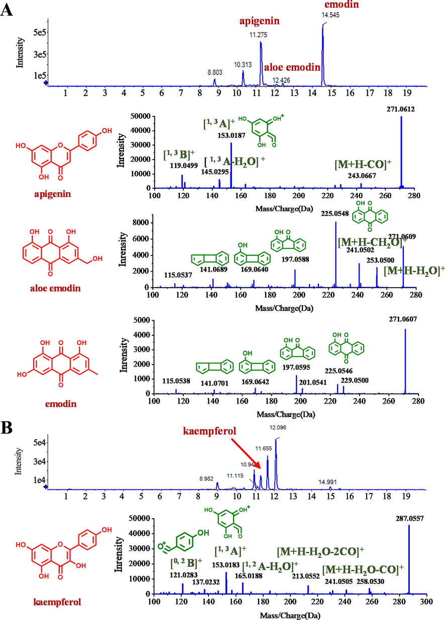 Identification of DNT-derived xenobiotic compounds in mice. (A) Total ion chromatogram (upper panel) and MS2 fragmentaion (lower panel) of apigenin, aloe emodin, and emodin in ESI+ mode. (B) Total ion chromatogram (upper panel) and MS2 fragmentation (lower panel) of kaempferol in ESI+ mode.