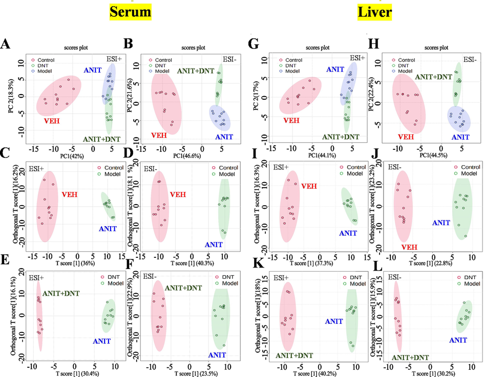 DNT recovers alteration in the metabolic profiling in ANIT-treated mice. The PCA score plots of serum samples (A, B) and liver samples (G, H) both in the positive and negative modes. The OPLS-DA score plots of serum samples (C-F) and liver samples (I-L) both in the positive and negative modes.