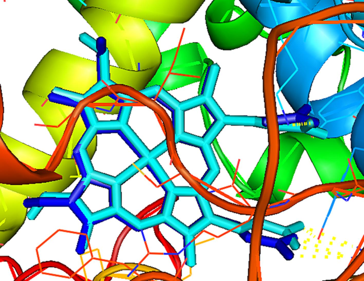 Re-docking of the co-crystallized ligand (cyan) and the docked protoporphyrin IX ligand (blue) with the RMSD value of 0.982.