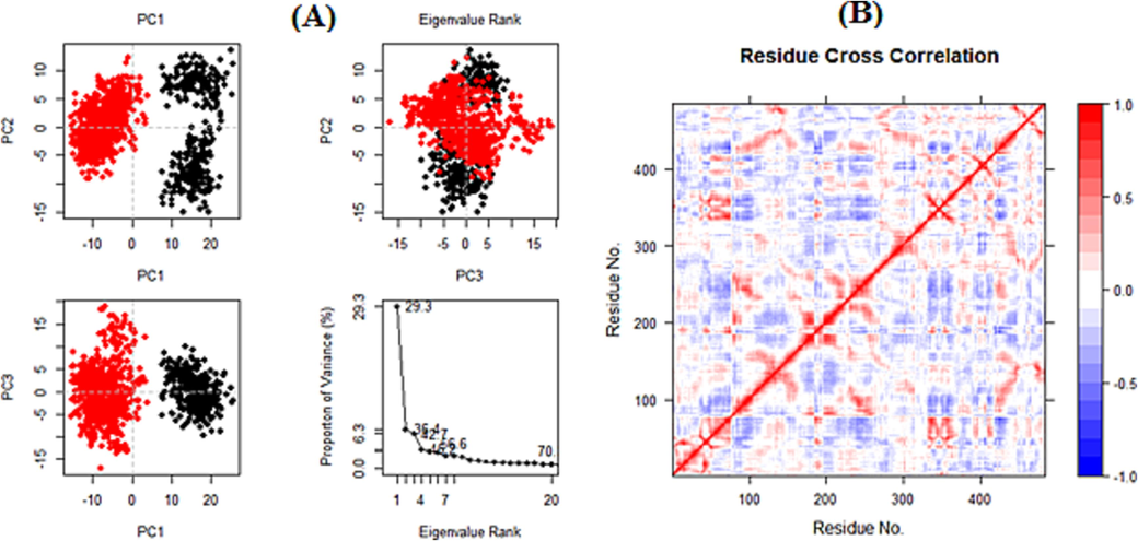 PCA (A) and DCCM (B).