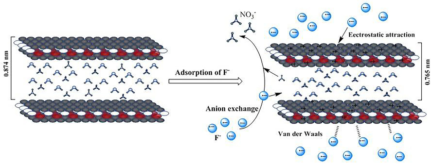 Schematic analysis of the adsorption mechanism.