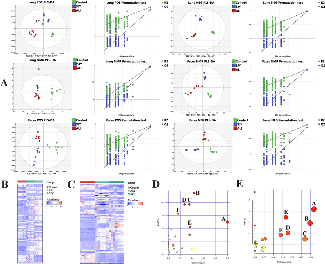 Metabolomic analysis. (A)The PLS-DA score plot and permutation test of lung and feces samples in UFLC-ESI-QTOF-MS and 1H NMR metabolomics among Control, ALI and SJY group; Heatmap of the differential metabolites (B) in lung and (C) in feces; (D) Pathways analysis of metabolites regulated by SJY in lung; ((D-A) Phenylalanine, tyrosine and tryptophan biosynthesis; (D-B) Taurine and hypotaurine metabolism; (D-C) Arachidonic acid metabolism; (D-D) Glycerophospholipid metabolism; (D-E) Glycine, serine and threonine metabolism; (D-F) Aminoacyl-tRNA biosynthesis.) (E) Pathways analysis of metabolites regulated by SJY in feces. ((E-A) Glycine, serine and threonine metabolism; (E-B) Glycerophospholipid metabolism; (E-C) Sphingolipid metabolism; (E-D) Cysteine and methionine metabolism; (E-E) Aminoacyl-tRNA biosynthesis; (E-F) Arginine and proline metabolism.)