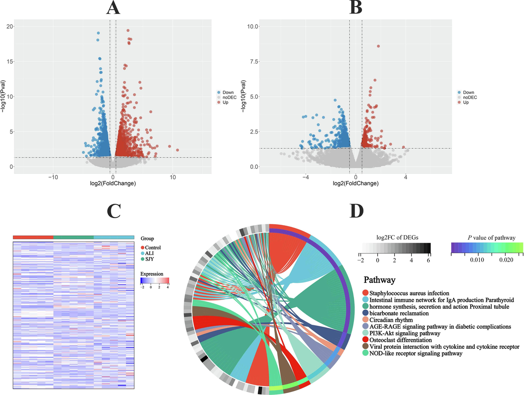 SJY regulates the expression of genes related to ALI. Volcano plot results of limma algorithm for (A) ALI group vs Control group and (B) SJY group vs ALI group; (C) Heatmap for hierarchical cluster analysis of DEGs in different groups; (D) KEGG enrichment analysis of DGEs significantly intervened by SJY.