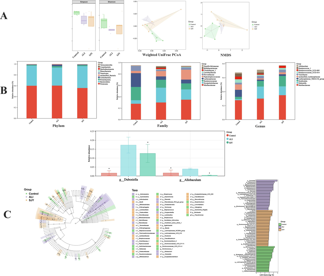 The effects of SJY against ALI on gut microbial composition and structure. (A) The community function diversity (Shannon indices and Simpson indices), and Analysis of β diversity by Weighted UniFrac PCoA analysis of gut microbiota and non‑metric multi‑dimensional scaling (NMDS); (B) Dominant phyla, families and genera in each group; (C) The linear discriminant analysis effect size (LEfSe) analysis identified gut bacterial biomarkers in three groups of rats.