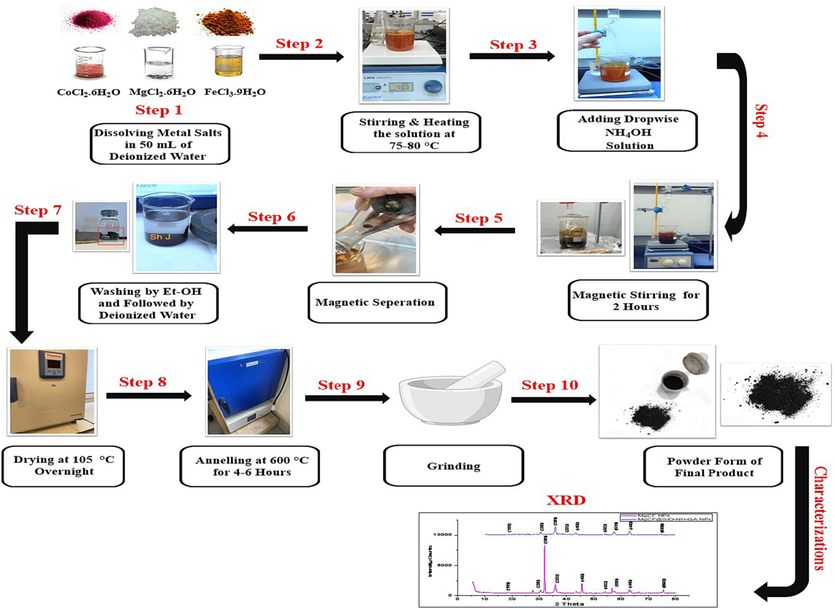 Schematic representation of the procedure for synthesis magnesium-doped cobalt ferrite NPs.