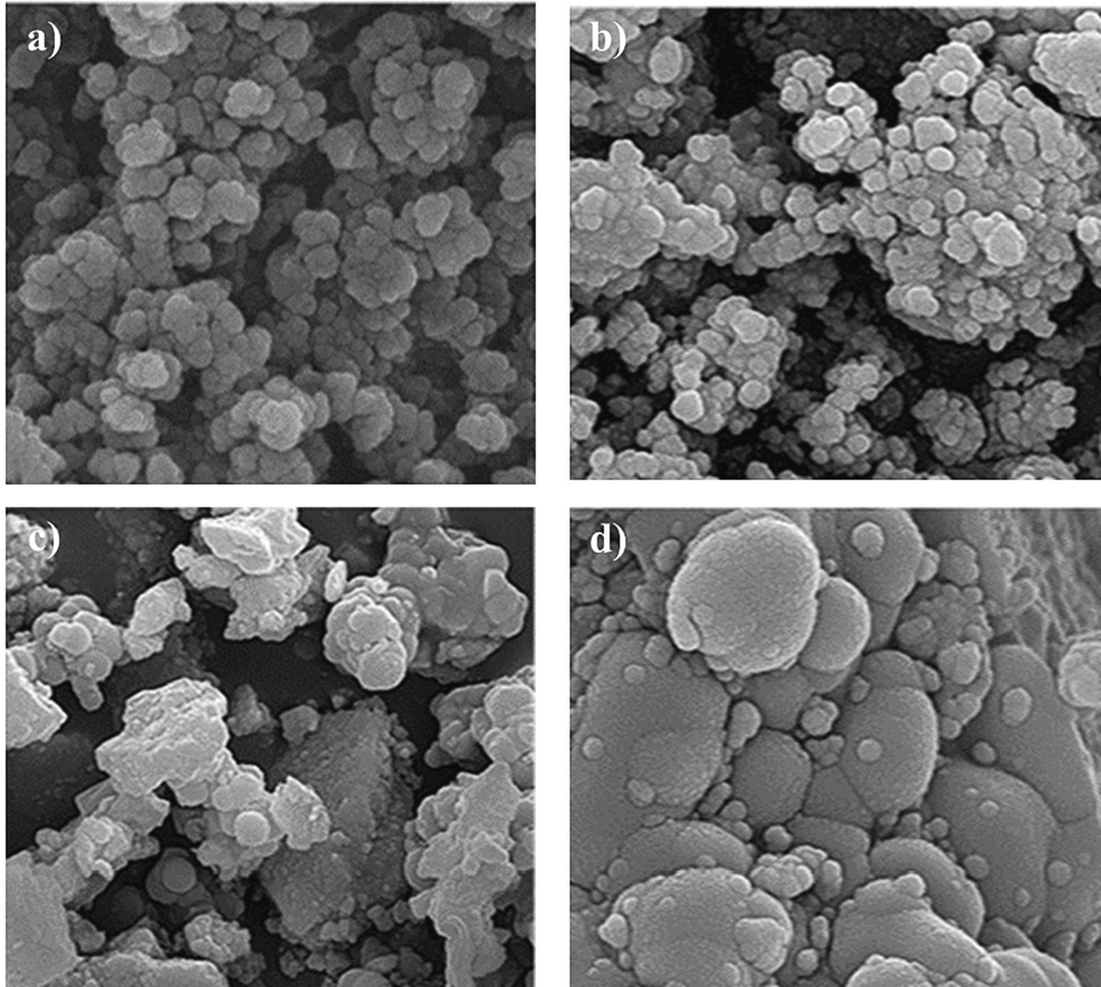 FE-SEM images of a) MgCF NPs, b) MgCF@SiO-NH-GA NPs, c, d) MgCF@SiO-NH-GA NPs after adsorption MB and RhB, respectively.