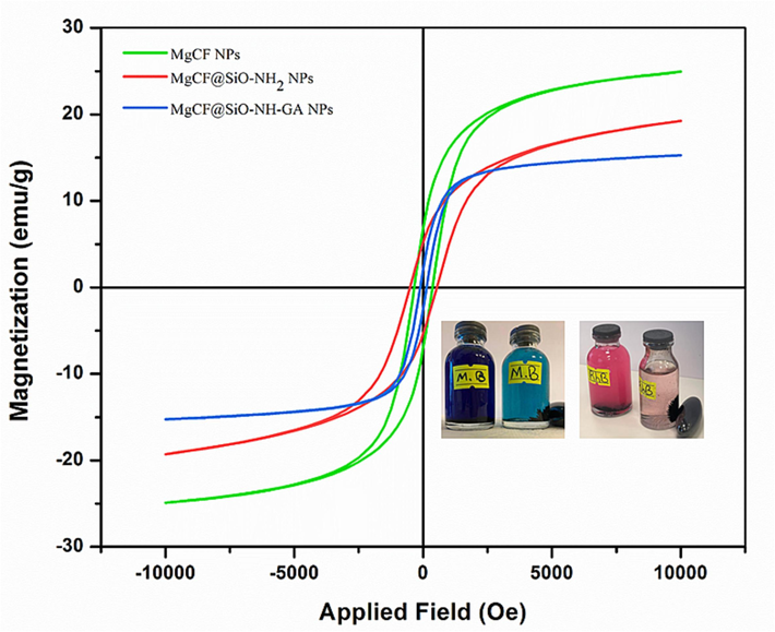 VSM Curves of MgCF, MgCF@SiO-NH2, and MgCF@SiO-NH-GA NPs.