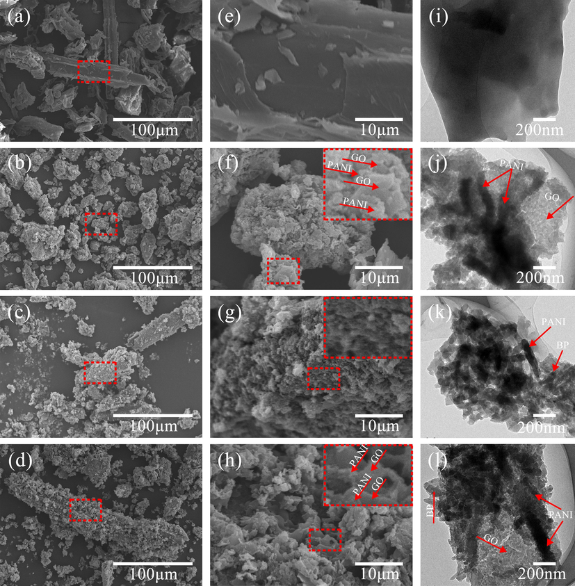 SEM images of BP (a, e), GO/PANI (b, f), PANI/BP (c, g), and GO/PANI/BP (d, h). TEM images of BP (i), GO/PANI (j), PANI/BP (k), and GO/PANI/BP (l).